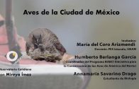 Aves-de-la-Ciudad-de-Mexico.-Observatorio-con-Mireya-Imaz-y-Humberto-Berlanga-Garcia