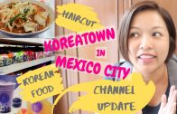 Korea-Town-in-Mexico-City-Authentic-Korean-Food-Barrio-Coreano-Ep.-30