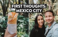 Were-Shocked-By-Mexico-City-Roma-Norte-La-Condesa-Walking-Tour